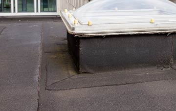 disadvantages of Bonchester Bridge flat roofs